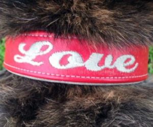 dog toe grips for senior dogs