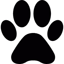 dog toe grips paw